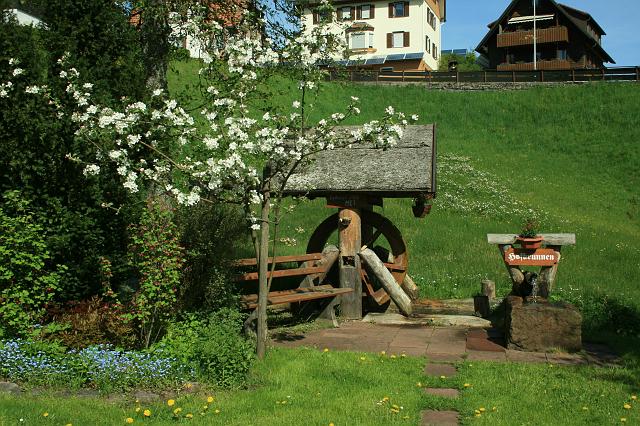 Kniebis 2009 Bild 07